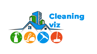 Cleaning Viz